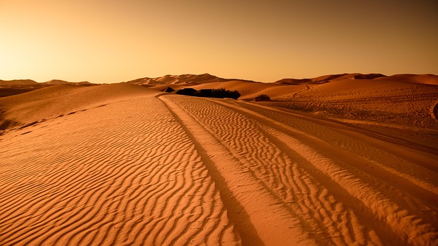 Desert landscape with sand dunes at sunrise.